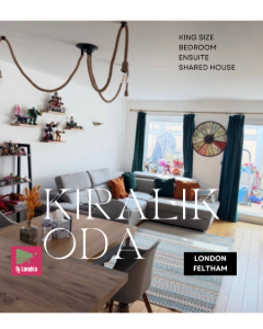 Kingsize-Double-room-with-t-for-Rent-3