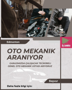 Oto-Mekanik-araniyor